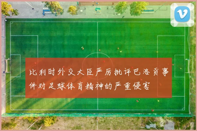 比利时外交大臣严厉批评巴洛贡事件对足球体育精神的严重侵害